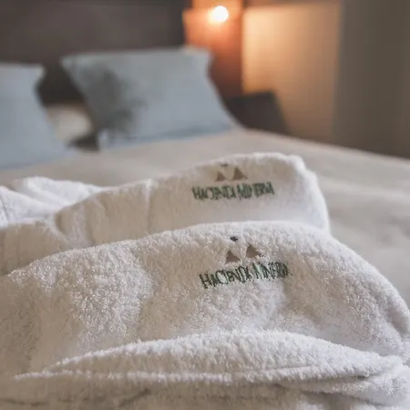 Hotel Hacienda Minerva