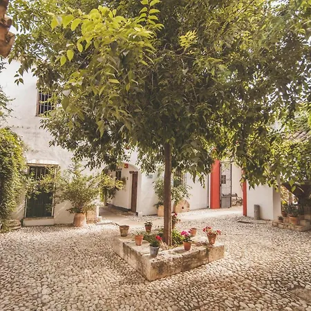 Hacienda Minerva Hotel 4*