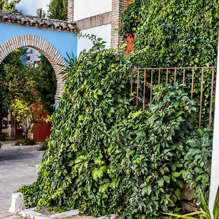 Hacienda Minerva 4*