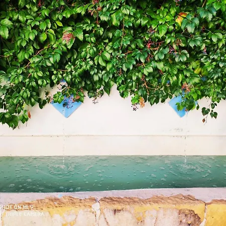 Hacienda Minerva Hotel